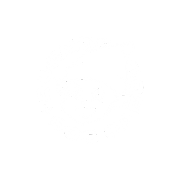 10 (22)